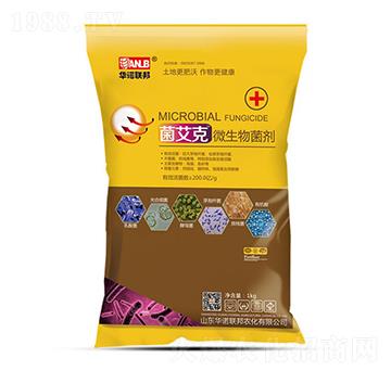 ������΢�������-ʥ�ϝ�