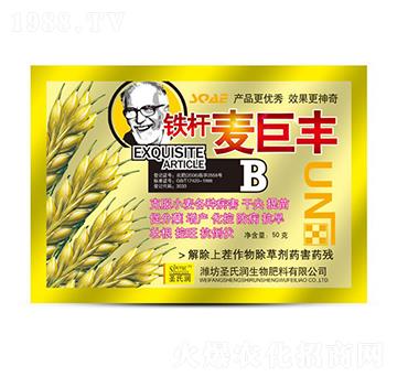 �����S-ʥ�ϝ�(r��n)