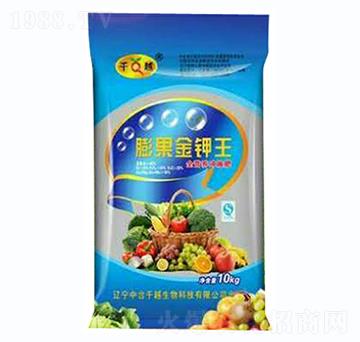 �����������{(l��n)����-ǧ