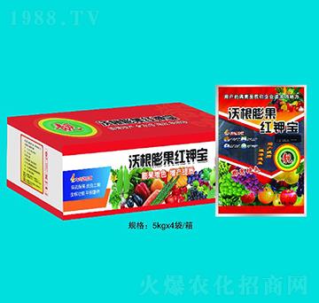 �ָ�����t⛌�-�����