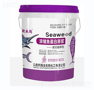 ���}����͝�s�~����ԭ�{-�Wʩ��-һ������