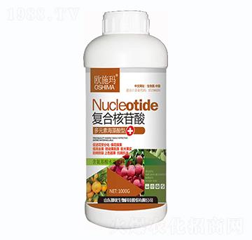 �ͺϺ�����-һ������