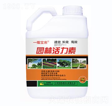 �@�ֻ�����-һ������