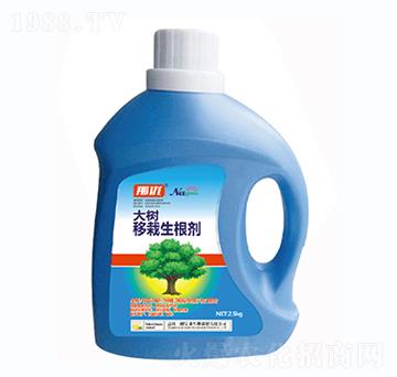 �������������-һ������