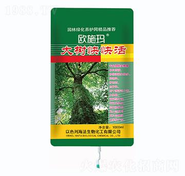 ������-һ������