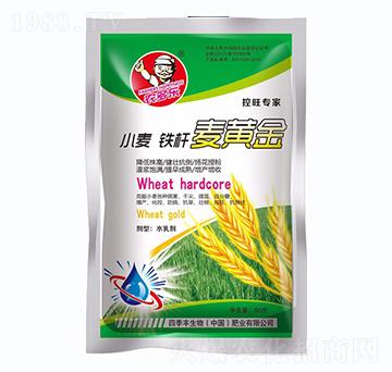 С���F�U���S��-�ļ��S