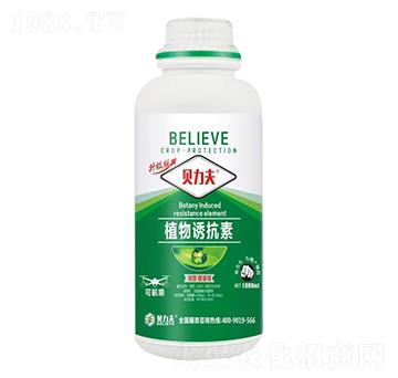 ֲ���T����-ؐ����-� ��S