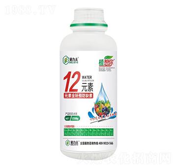 12Ԫ��-ؐ����-� ��S