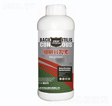 ��(x��)��������-һ������