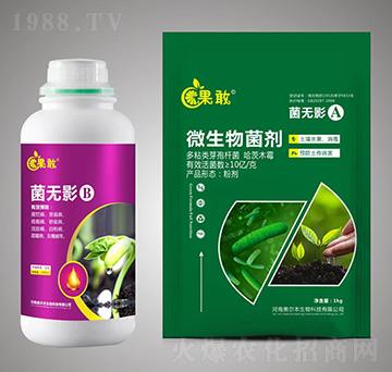 ���o(w��)ӰA+B-����-����������