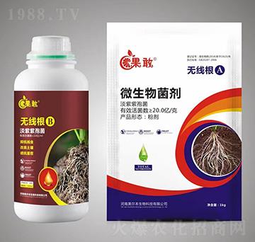 �o(w��)����A+B-����-����������