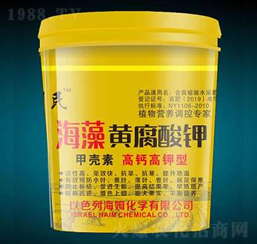 ���}����ͺ����S�����-������-�����r��