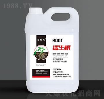 ������-������-�����r(n��ng)��