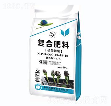 �ͺϷ���19-19-19-�v���ʘI(y��)