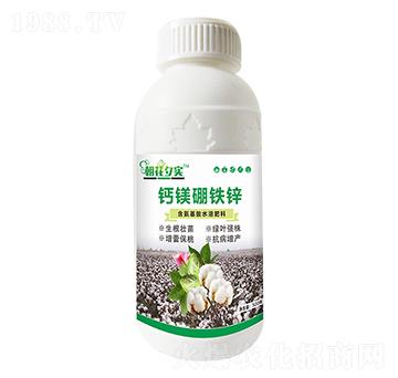 �}�V���F�\-����Ϧ��-�����r�I(y��)