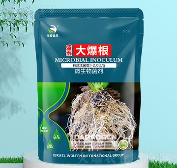 ΢�������-�󱬸�-ʢ��