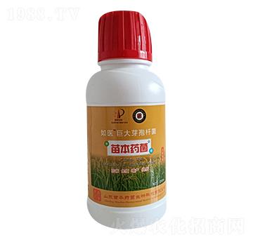 �޴�ѿ�ߗU��-���t(y��)-�籾ˎ��