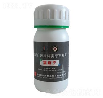 �z�����ѿ�ߗU��-���t(y��)-�籾ˎ��