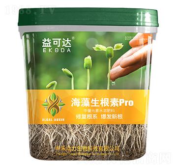 ����������pro-����_(d��)-�к̄���