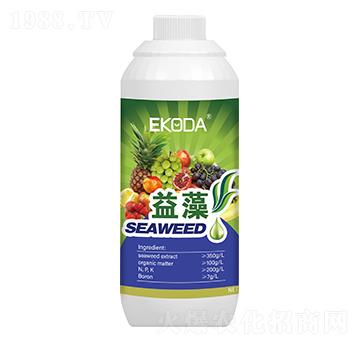 ����-����_-�к̄���