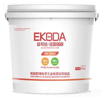 ����_�����999-�к̄���