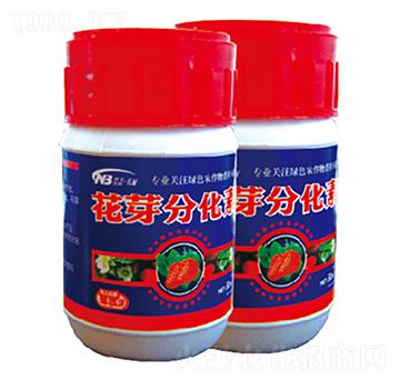 ��ѿ�ֻ���-������