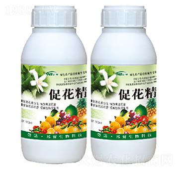 �ٻ���ѿ����-�ٻ���-������