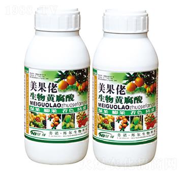 �ٻ���ѿ����-�����������S����-������