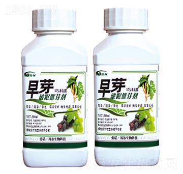 ���ߴ�ѿ��-��ѿ-������