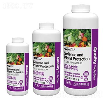 ���w�V-������