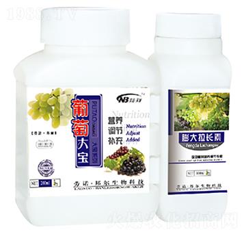 ���Ѵ�+������L(zh��ng)��-������