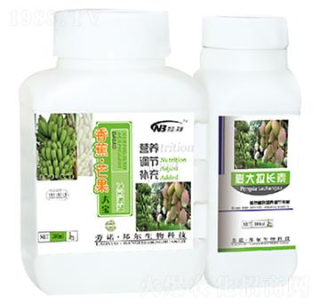 �㽶��â����+������L(zh��ng)��-������