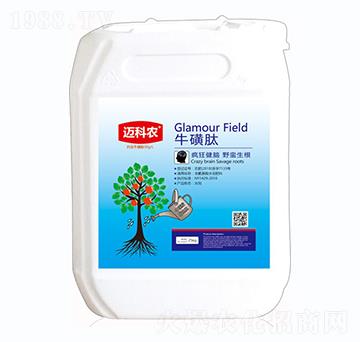 ţ����-�~���r(n��ng)-�Έ�����