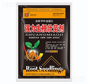 �����������焩-�����S