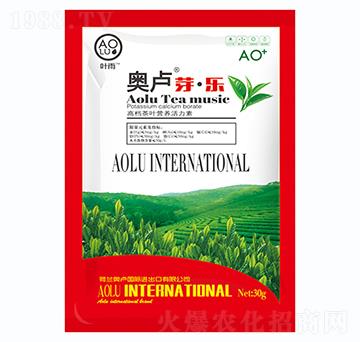 �W�Rѿ��-�����S