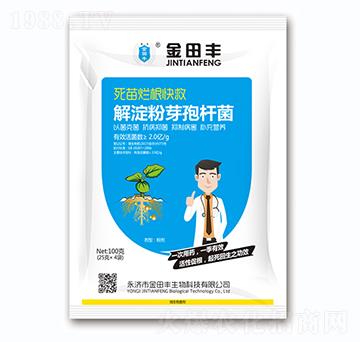 �����ѿ�ߗU��-���砀�����-�����S