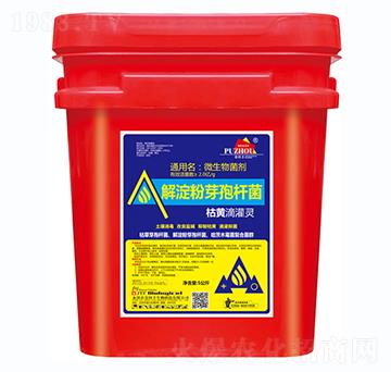 ���S�ι��`-�����S