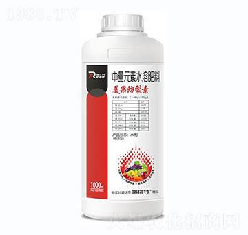 ����������-����(y��u)��