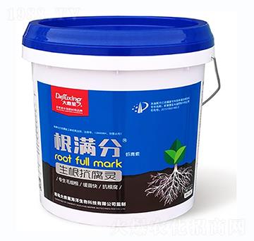 ���������`-���M��-�����