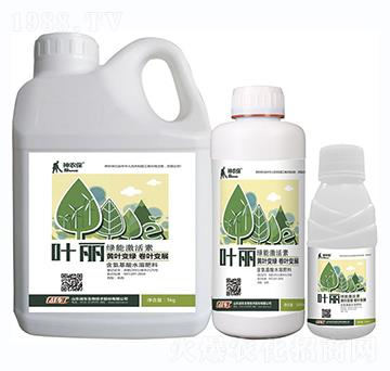 �~�����G�ܼ�����-��(zh��n)܇