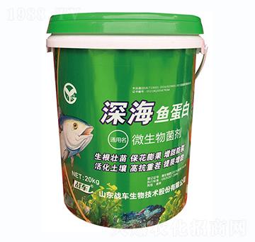 ��~����-��(zh��n)܇