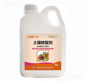 �����ޏ�(f��)��-������2̖-��(zh��n)܇