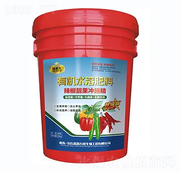 �����n���_ʩ��-�Wِ��-�����f(w��n)��