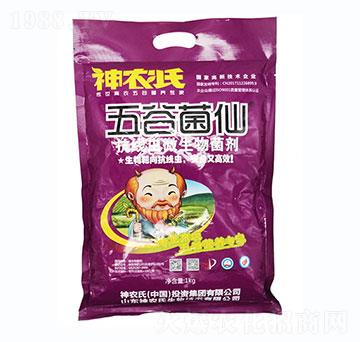 �����x΢�������-���