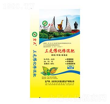 摻混肥24-12-12-三元催化-億豐