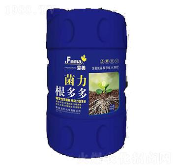 ���������-����