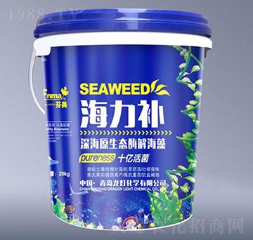 �����a(b��)�ԭ���B(t��i)ø�⺣��-����-����