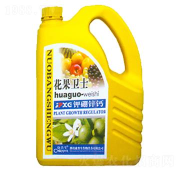 ����\�}-�����l(w��i)ʿ-������