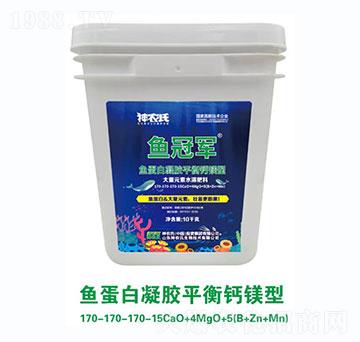 �~�������zƽ���}�V�ʹ�