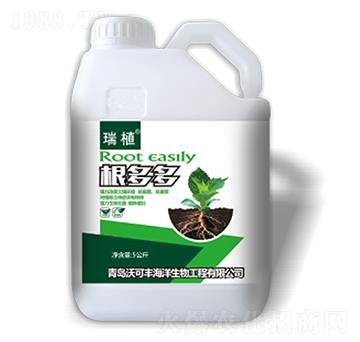 ����ࣨ5���-�ֿ��S